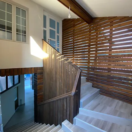 And Radivojevic Ni