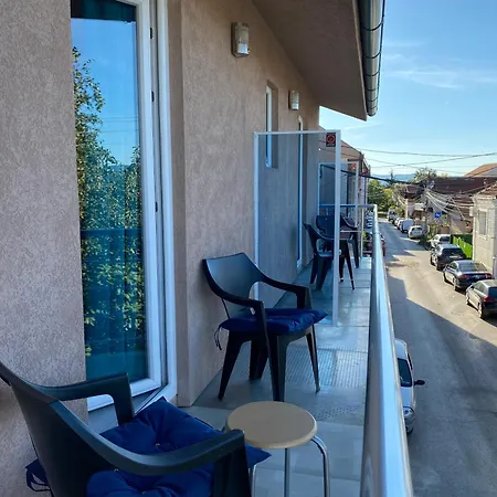 And Radivojevic Ni