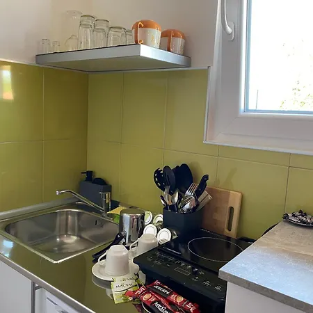 And Radivojevic Ni