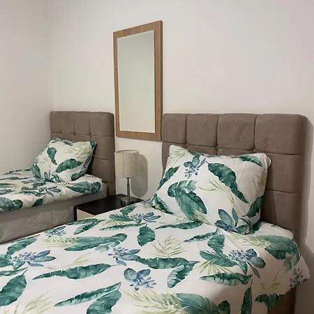 And Radivojevic Daire *