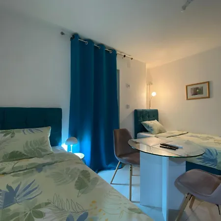 And Radivojevic Daire *