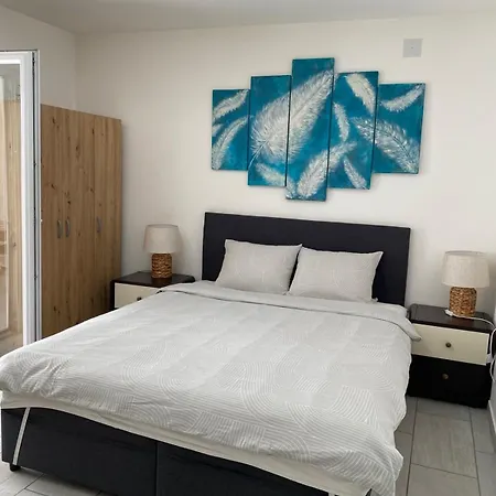 Apartman And Radivojevic