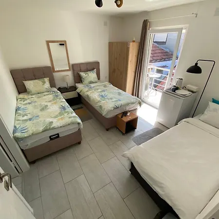 And Radivojevic Ni