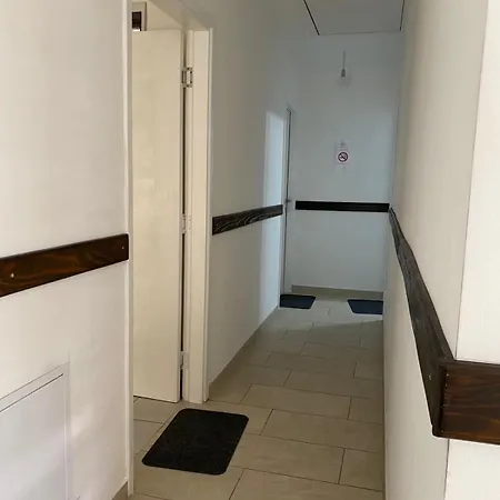 And Radivojevic * Ni